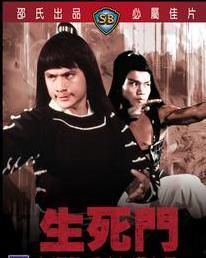 生死门,揭秘生死轮回的神秘之门